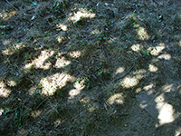 Triptyk del 1