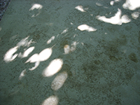 Triptyk 2