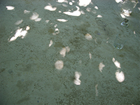 Triptyk3